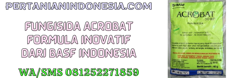 fungisida,acrobat,acrobat 50 wp,basf,acrobat basf,pertanian indonesia